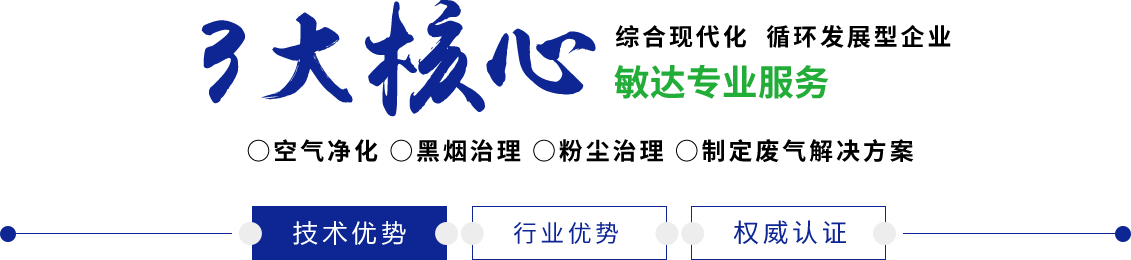 嗯……啊操视频敏达环保科技（嘉兴）有限公司